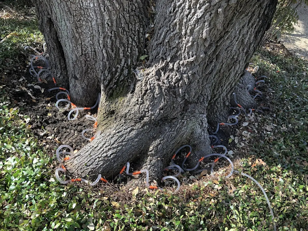 Detailed Shrub and Hedge Trimming job site in Carp Lake